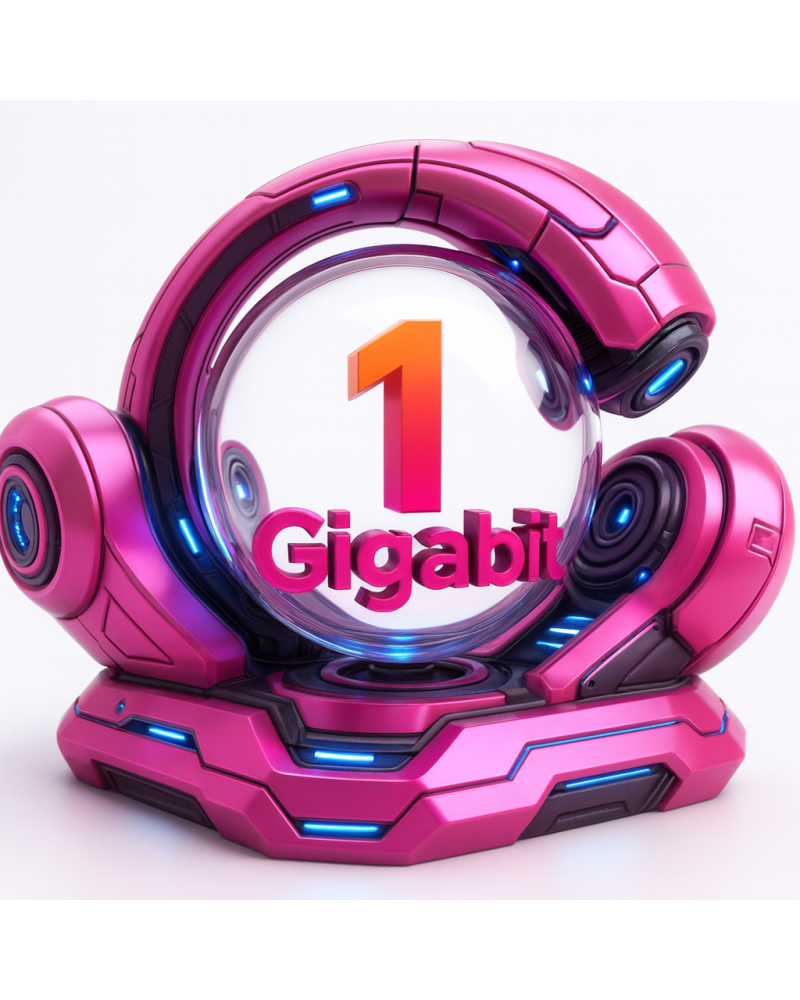 1 Gb de caudal profesional de Internet simetrico