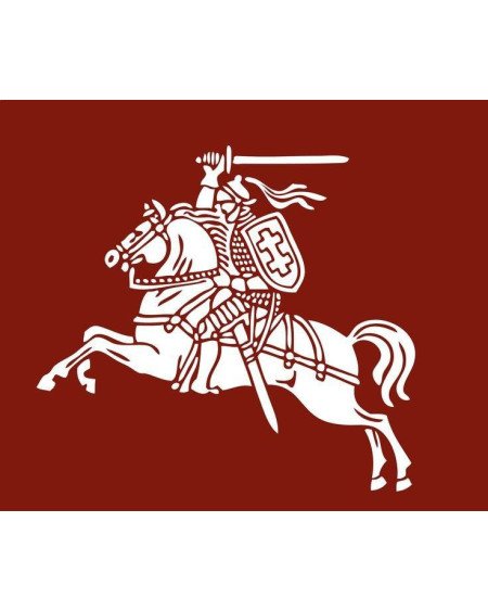 CAUDAL DE INTERNET + IPs