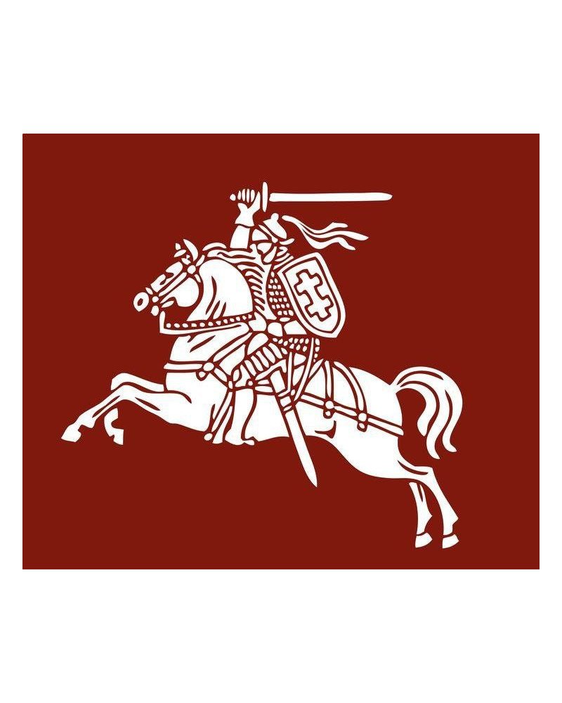 CAUDAL DE INTERNET + IPs