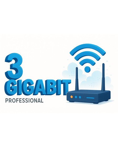 3 Gb de caudal profesional de Internet simetrico