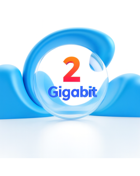2 Gb de caudal profesional de Internet simetrico