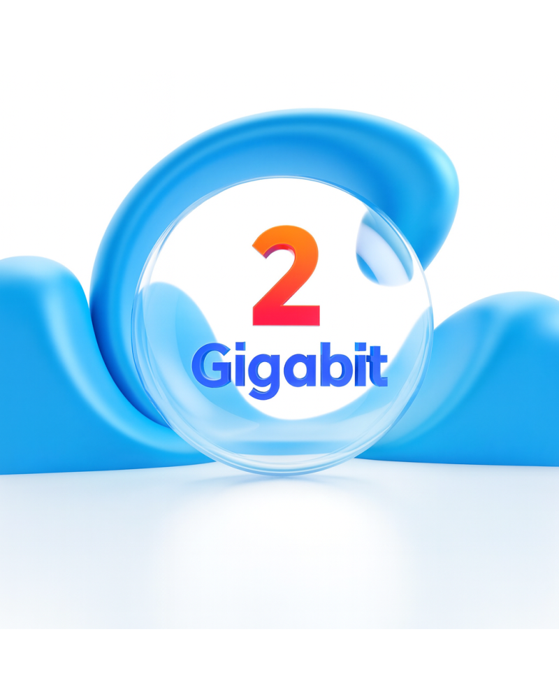 2 Gb de caudal profesional de Internet simetrico